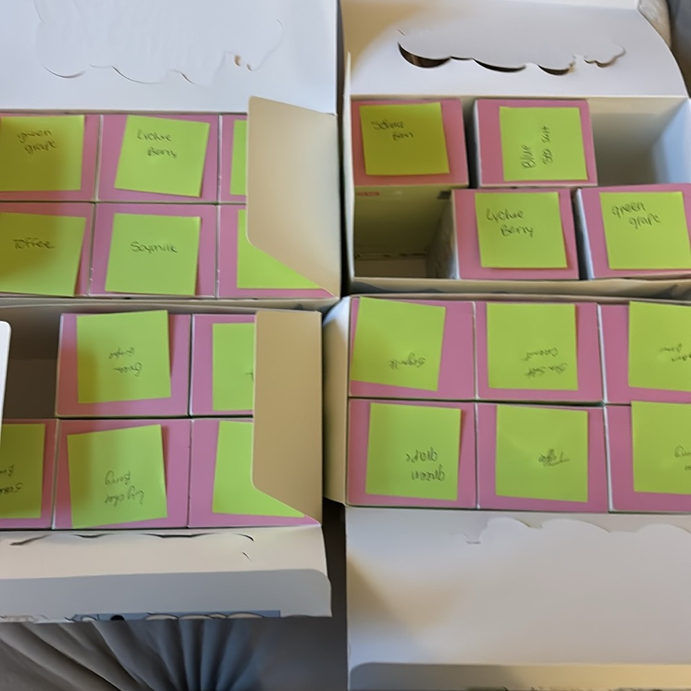 Authentic Exciting Macaron Labubus - Picture 5 of 13